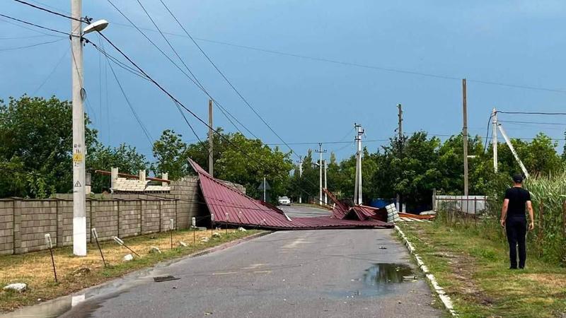 Сильные погодные условия привели к падению деревьев и отключению электроэнергии