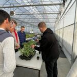 Технический университет Молдовы проводит эксперимент с привитыми арбузами для повышения устойчивости сельскохозяйственных культур