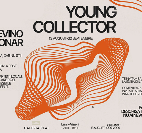Выставка «Young Collector» объединяет 33 художника в Галерее PLAI в Кишиневе