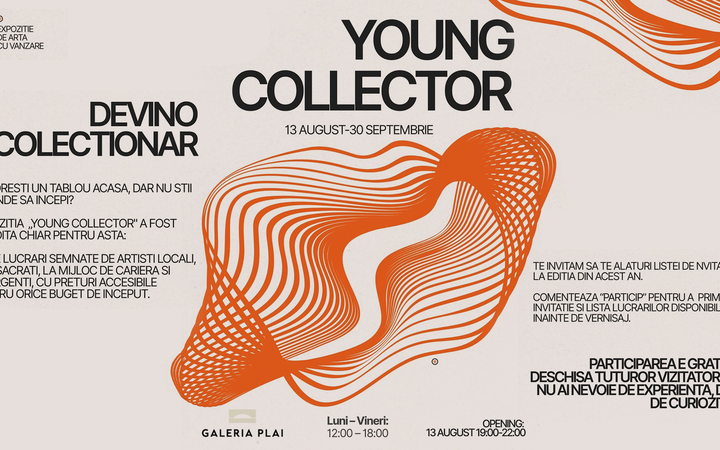 Выставка «Young Collector» объединяет 33 художника в Галерее PLAI в Кишиневе