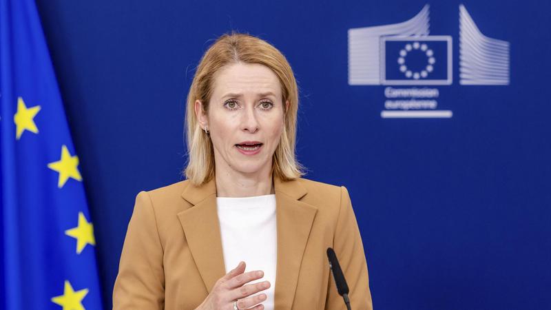 Каллас: России следует увеличить цену за гибридные атаки