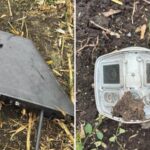 На территории Молдовы впервые зафиксирована русская дрон типа «Гербера»