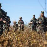 Военные Молдовы, Румынии и США проводят учения в Булбосе