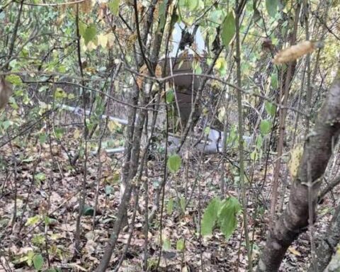 Дрон упал и взорвался в лесу в районе Анешты Ной | TVR Молдова