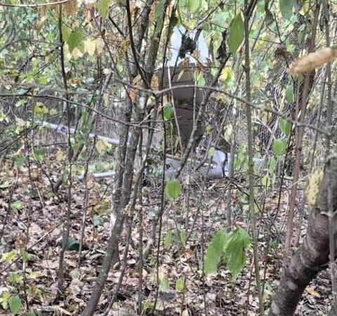 Дрон упал и взорвался в лесу в районе Анешты Ной | TVR Молдова