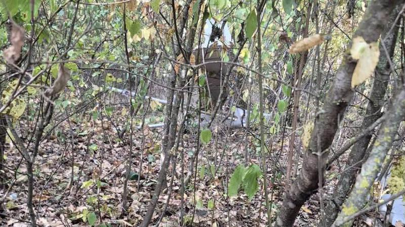 Дрон упал и взорвался в лесу в районе Анешты Ной | TVR Молдова 2 Дрон упал и взорвался в лесу в районе Анешты Ной | TVR Молдова