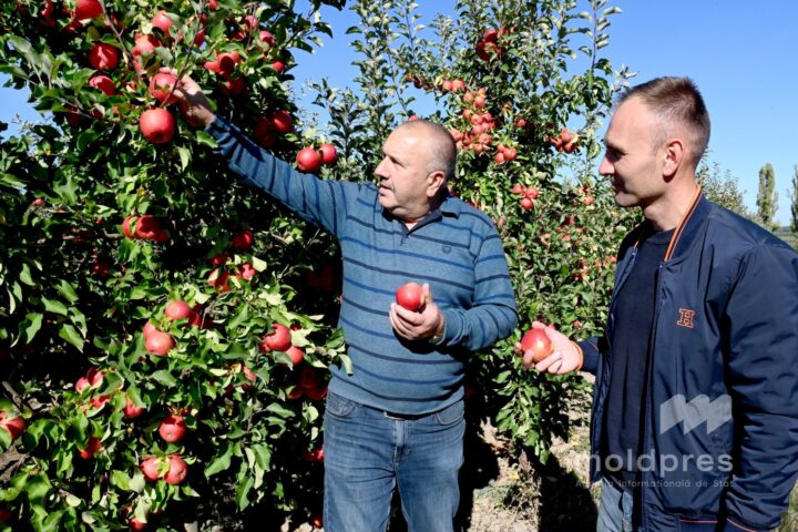 Фермер из Бричень обновляет хозяйство и привлекает инвестиции в садоводство