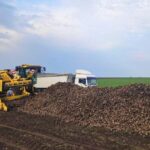 Производители сахарной свеклы планируют протесты из-за невыполненных обещаний властей