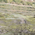 Снижение уровня воды в Днестре угрожает водоснабжению Бэлць