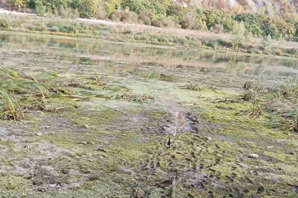 Снижение уровня воды в Днестре угрожает водоснабжению Бэлць