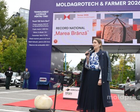 В Молдове представили брынзу весом 30,7 килограмма