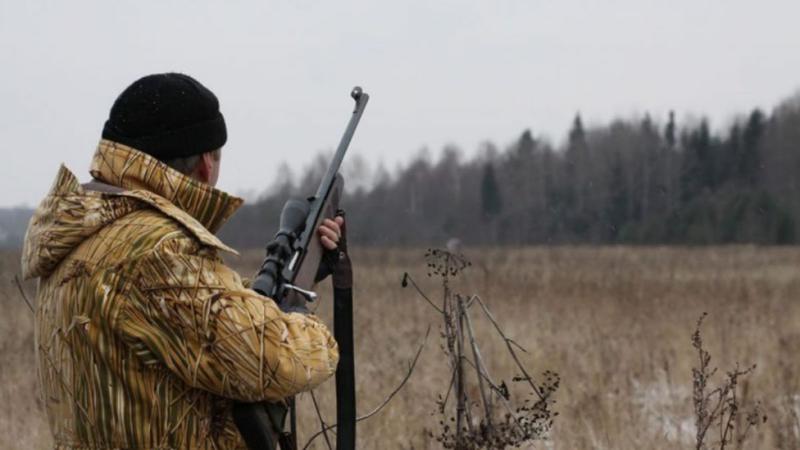 В Молдове вводятся строгие правила охоты и наказания за браконьерство 2 В Молдове вводятся строгие правила охоты и наказания за браконьерство
